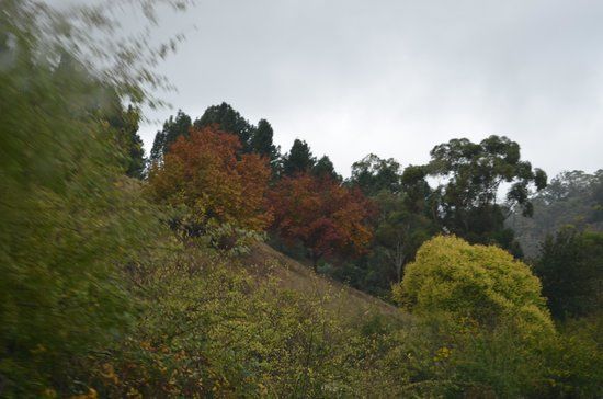 Black Hill Conservation Park